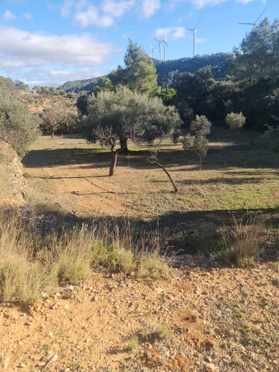 Finka/Dom wiejski na sprzedaż w Asco - 29 000 € (Ref: 9800735)