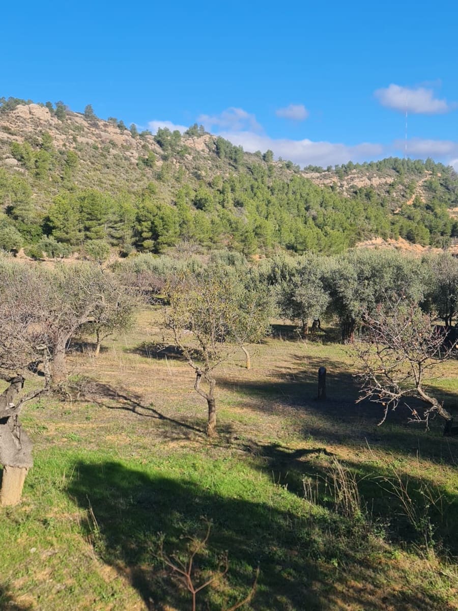 Finka/Dom wiejski na sprzedaż w Asco - 29 000 € (Ref: 9800735)