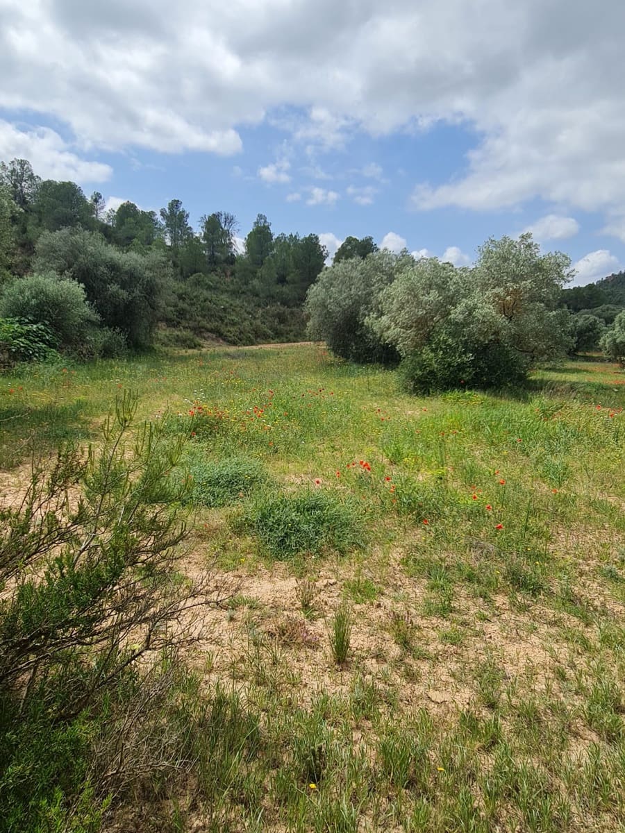 Finca/Country House for sale in Flix - € 37,500 (Ref: 9847569)