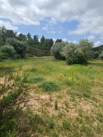 Finca/Landehus til salg i Flix - € 37.500 (Ref: 9847569)