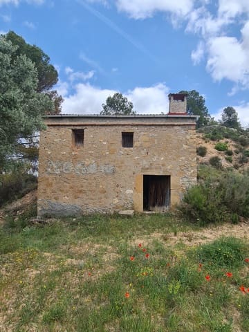Finka/Dom wiejski na sprzedaż w Flix - 37 500 € (Ref: 9847569)