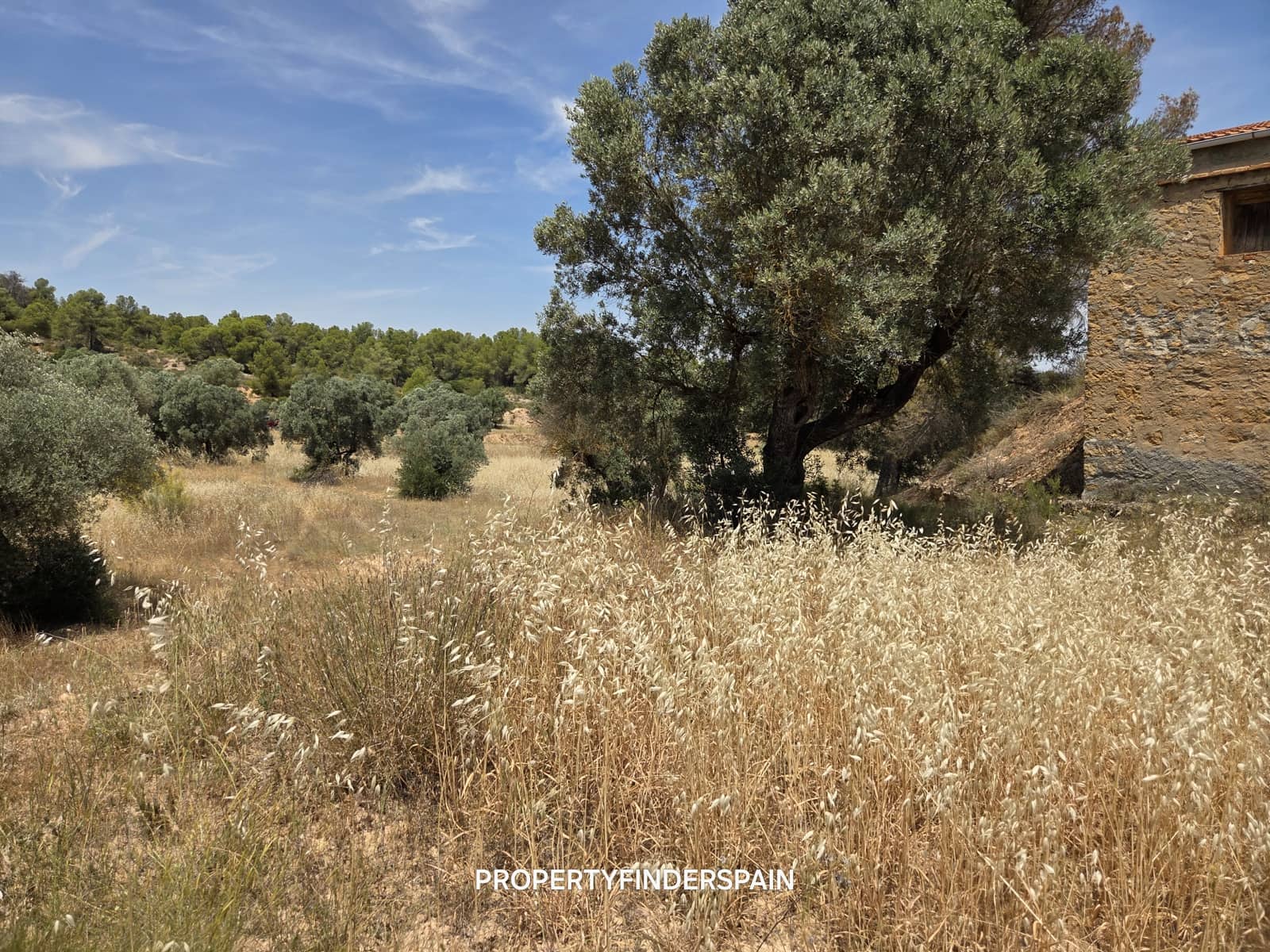 Finca/Landehus til salg i Flix - € 37.500 (Ref: 9847569)