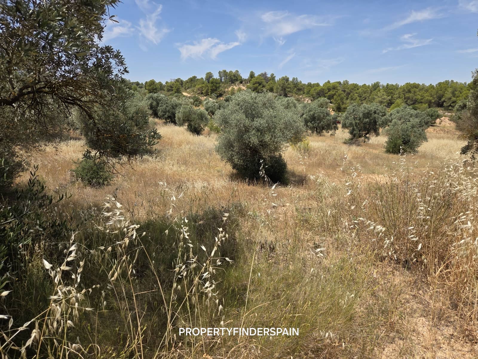 Finca/Landehus til salg i Flix - € 37.500 (Ref: 9847569)