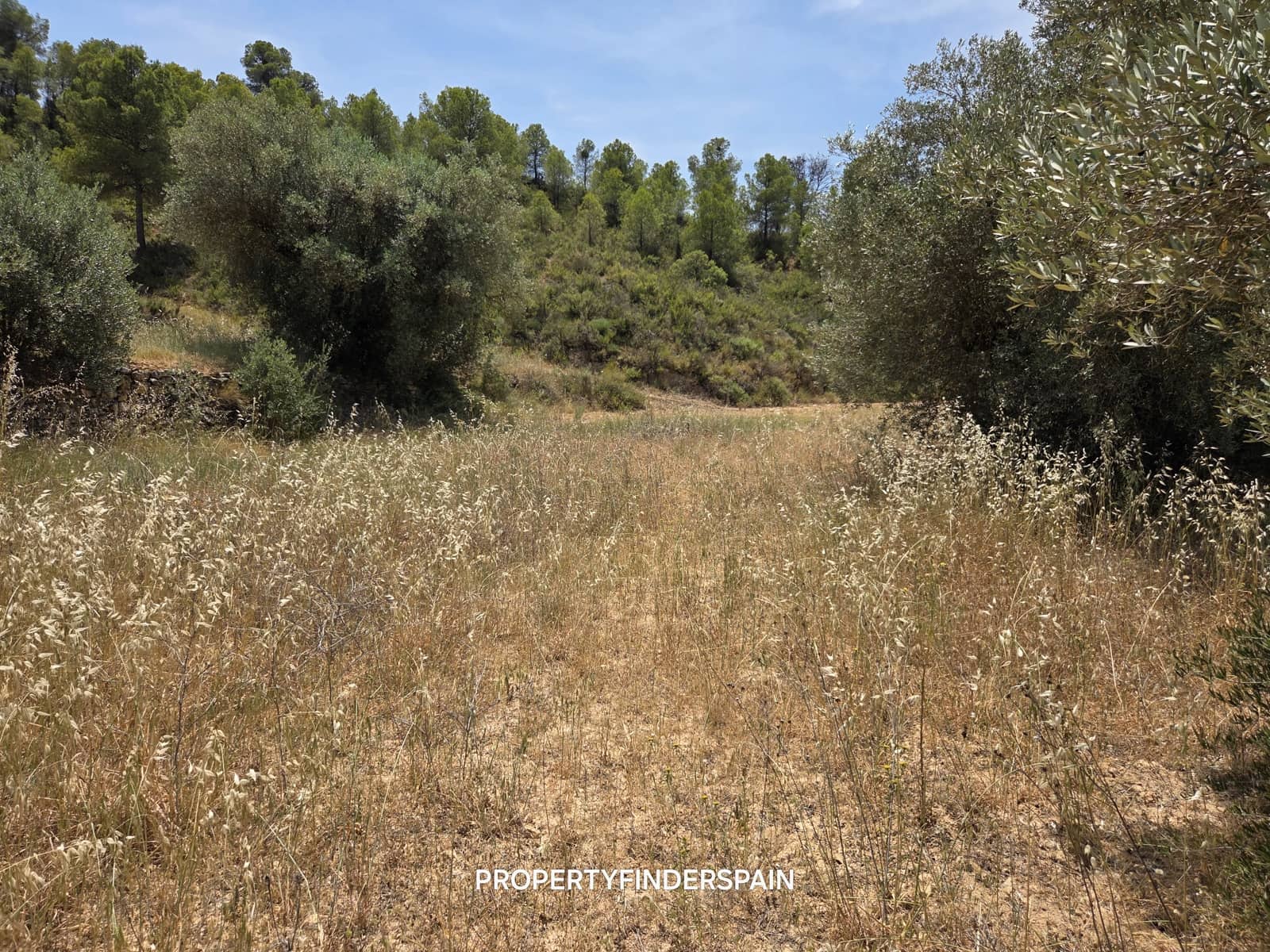 Finca/Landehus til salg i Flix - € 37.500 (Ref: 9847569)