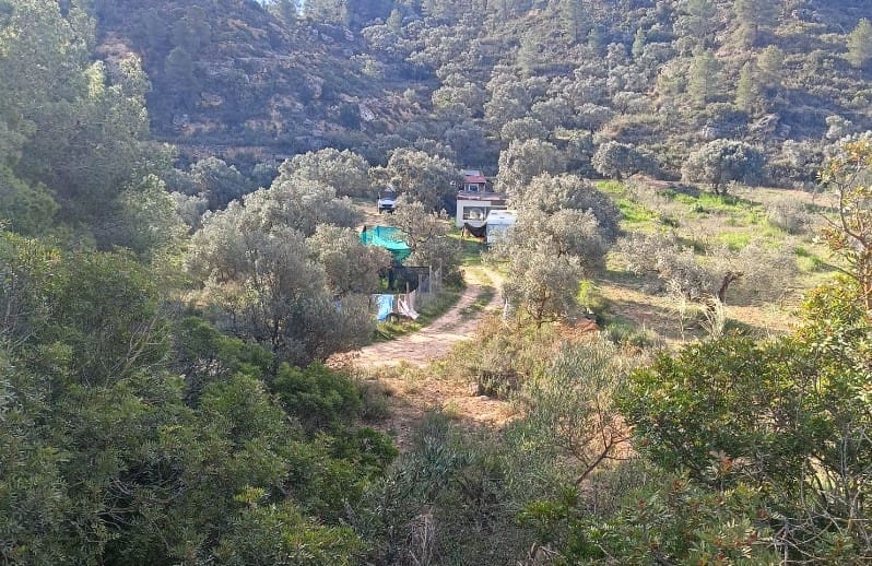 2 chambre Finca/Maison de Campagne à vendre à Riba-roja d'Ebre - 27 500 € (Ref: 9899830)