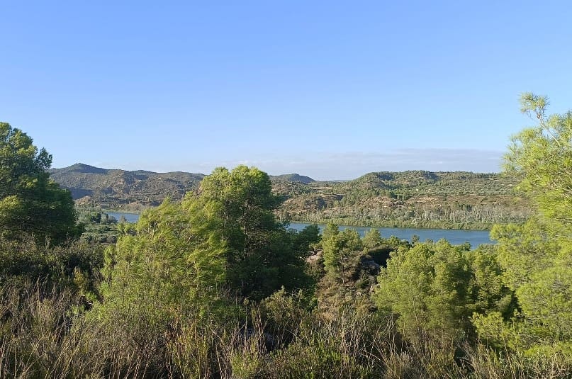 2 chambre Finca/Maison de Campagne à vendre à Riba-roja d'Ebre - 27 500 € (Ref: 9899830)