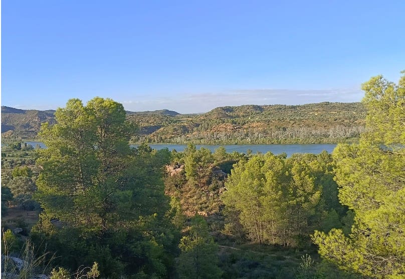 2 chambre Finca/Maison de Campagne à vendre à Riba-roja d'Ebre - 27 500 € (Ref: 9899830)