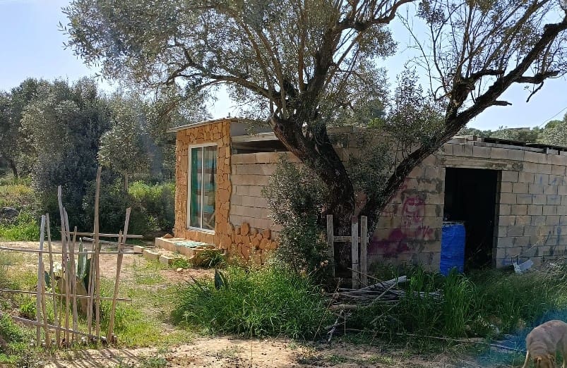 2 chambre Finca/Maison de Campagne à vendre à Riba-roja d'Ebre - 27 500 € (Ref: 9899830)