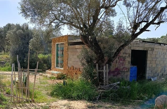 2 bedroom Finca/Country House for sale in Riba-roja d'Ebre - € 27,500 (Ref: 9899830)