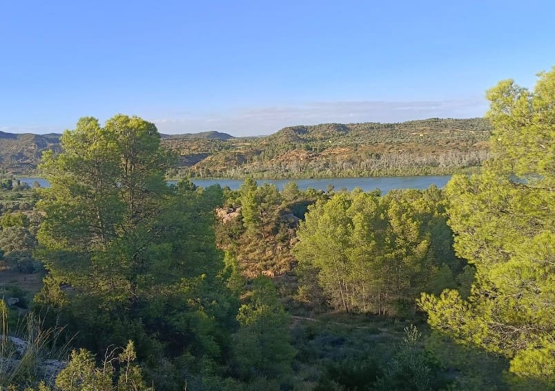 2 chambre Finca/Maison de Campagne à vendre à Riba-roja d'Ebre - 27 500 € (Ref: 9899830)