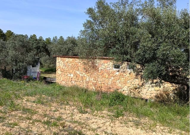 2 bedroom Finca/Country House for sale in Riba-roja d'Ebre - € 27,500 (Ref: 9899830)