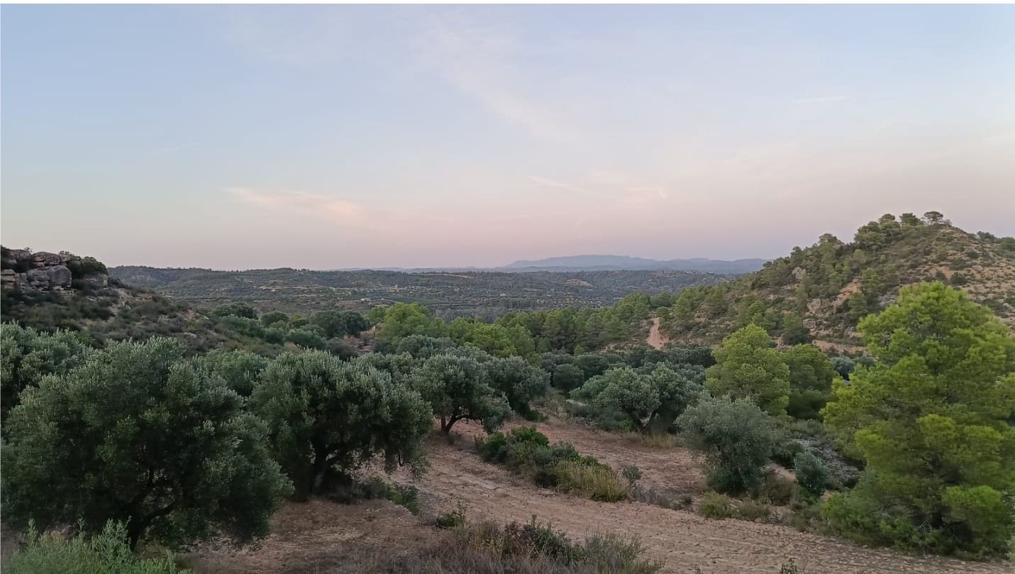 2 chambre Finca/Maison de Campagne à vendre à Riba-roja d'Ebre - 27 500 € (Ref: 9899830)