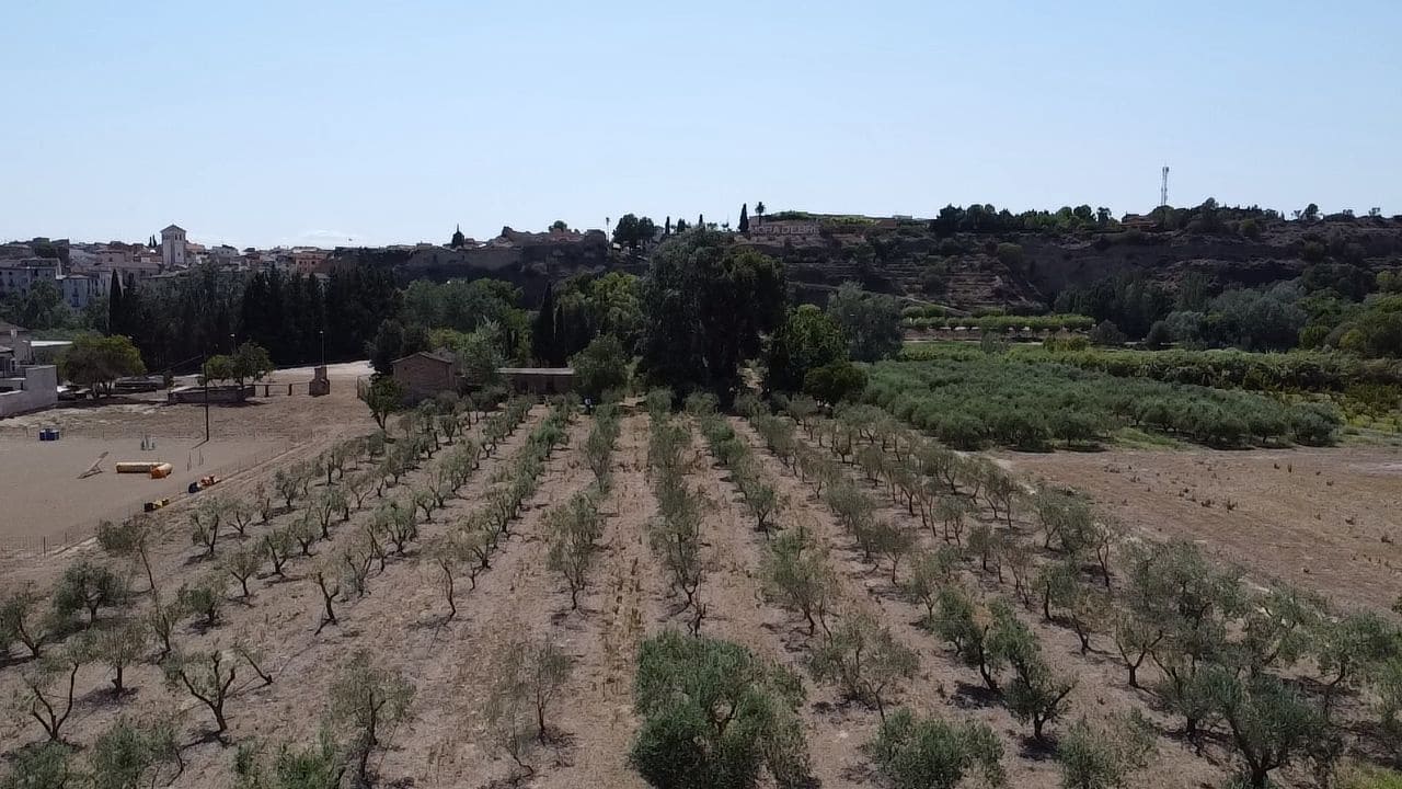 Finca/Country House for sale in Mora la Nova - € 89,000 (Ref: 9918872)