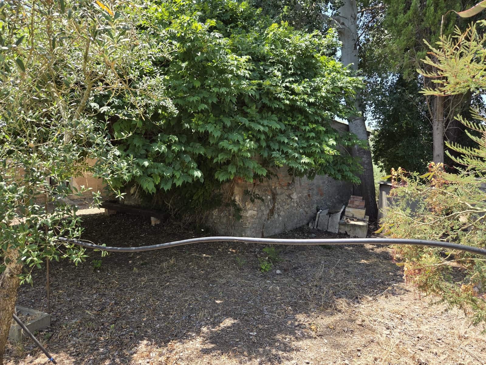 Finca/Country House for sale in Mora la Nova - € 89,000 (Ref: 9918872)