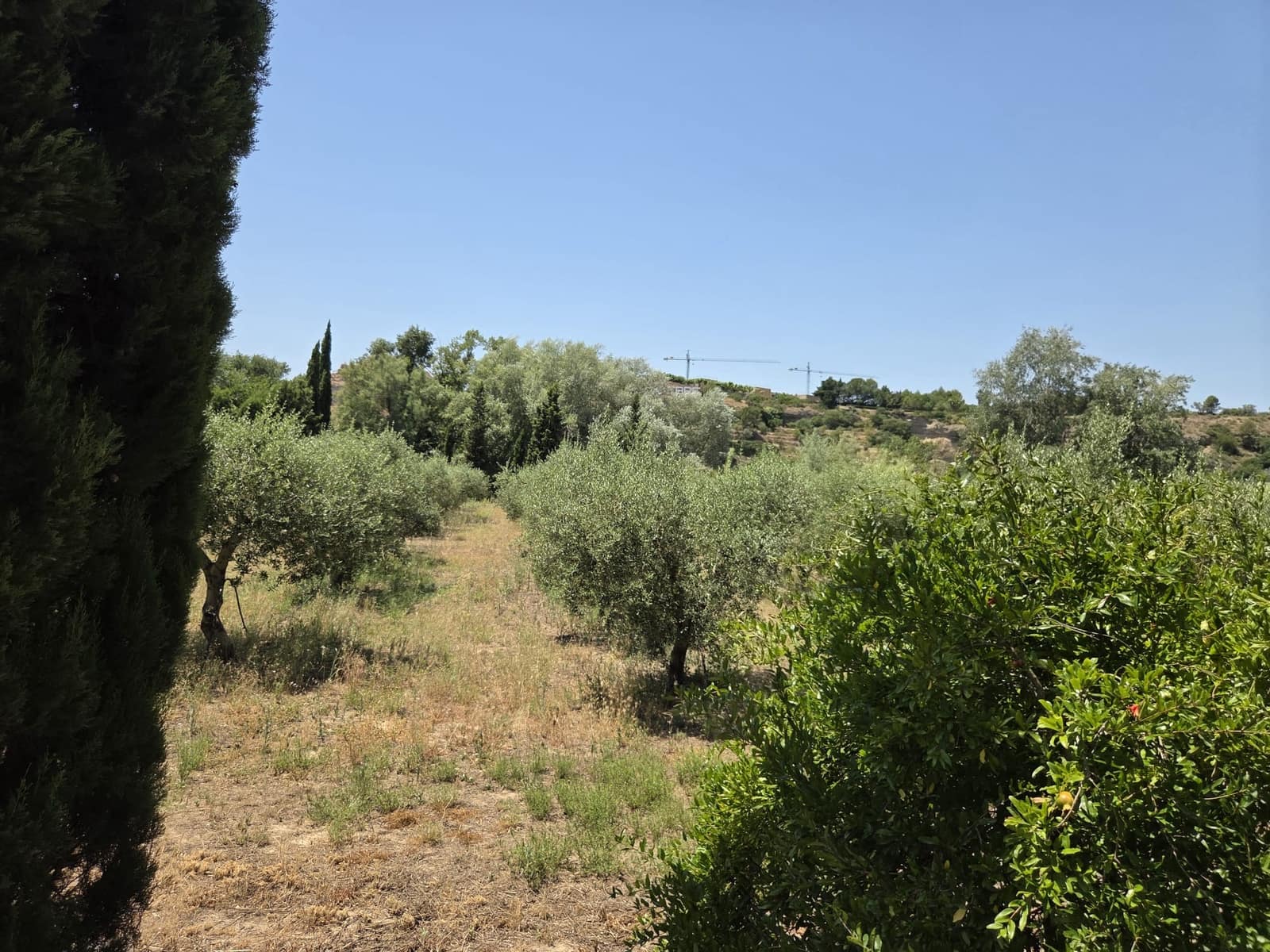 Finca/Country House for sale in Mora la Nova - € 89,000 (Ref: 9918872)