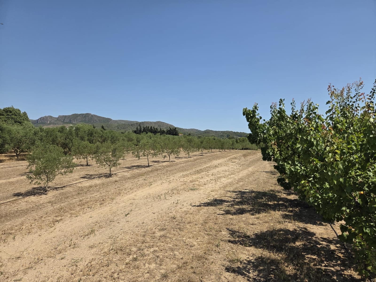 Finca/Herregård til salgs i Ginestar - € 15 000 (Ref: 9938595)