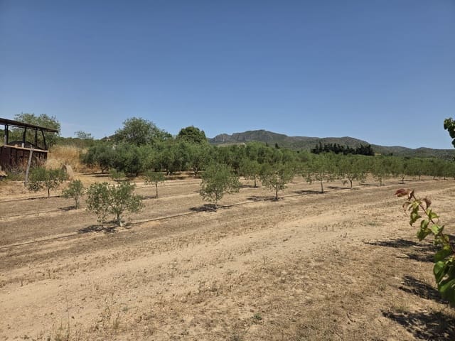 Finca/Landehus til salg i Ginestar - € 15.000 (Ref: 9938595)