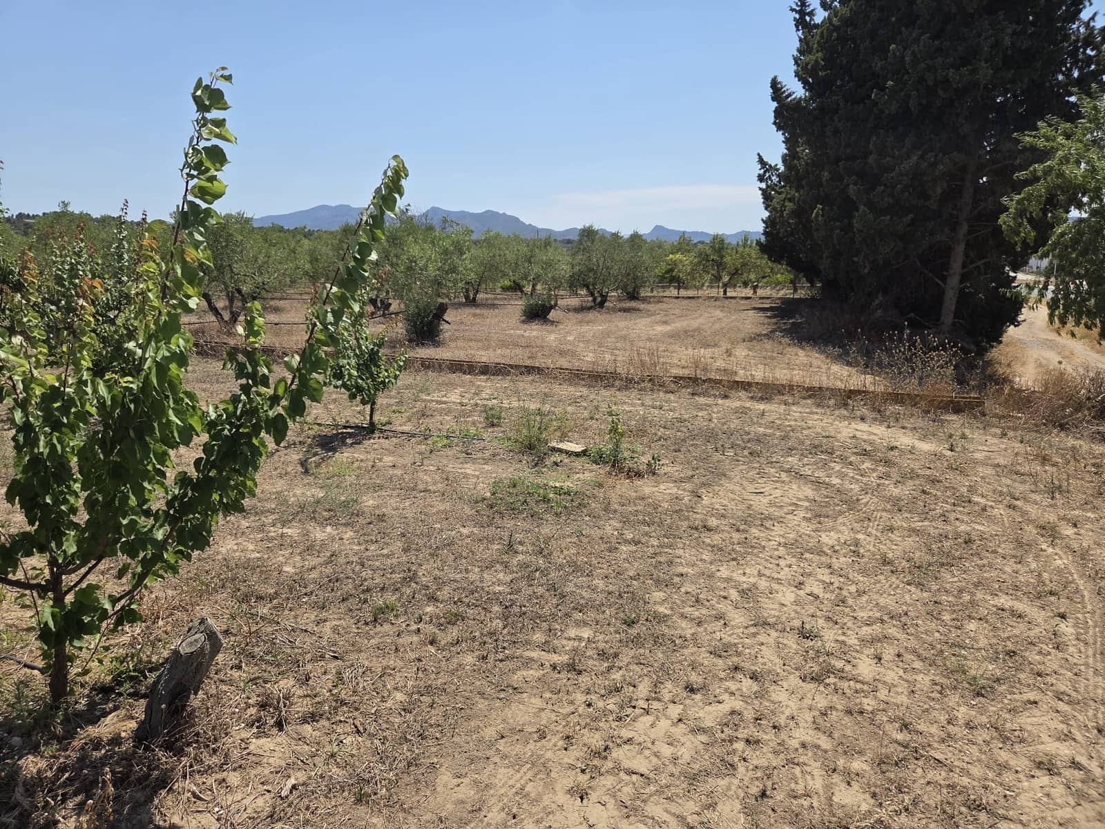 Finca/Herregård til salgs i Ginestar - € 15 000 (Ref: 9938595)