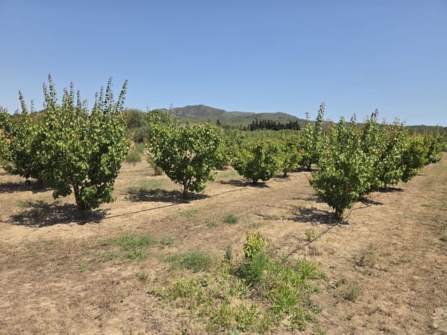 Finca/Landehus til salg i Ginestar - € 15.000 (Ref: 9938595)