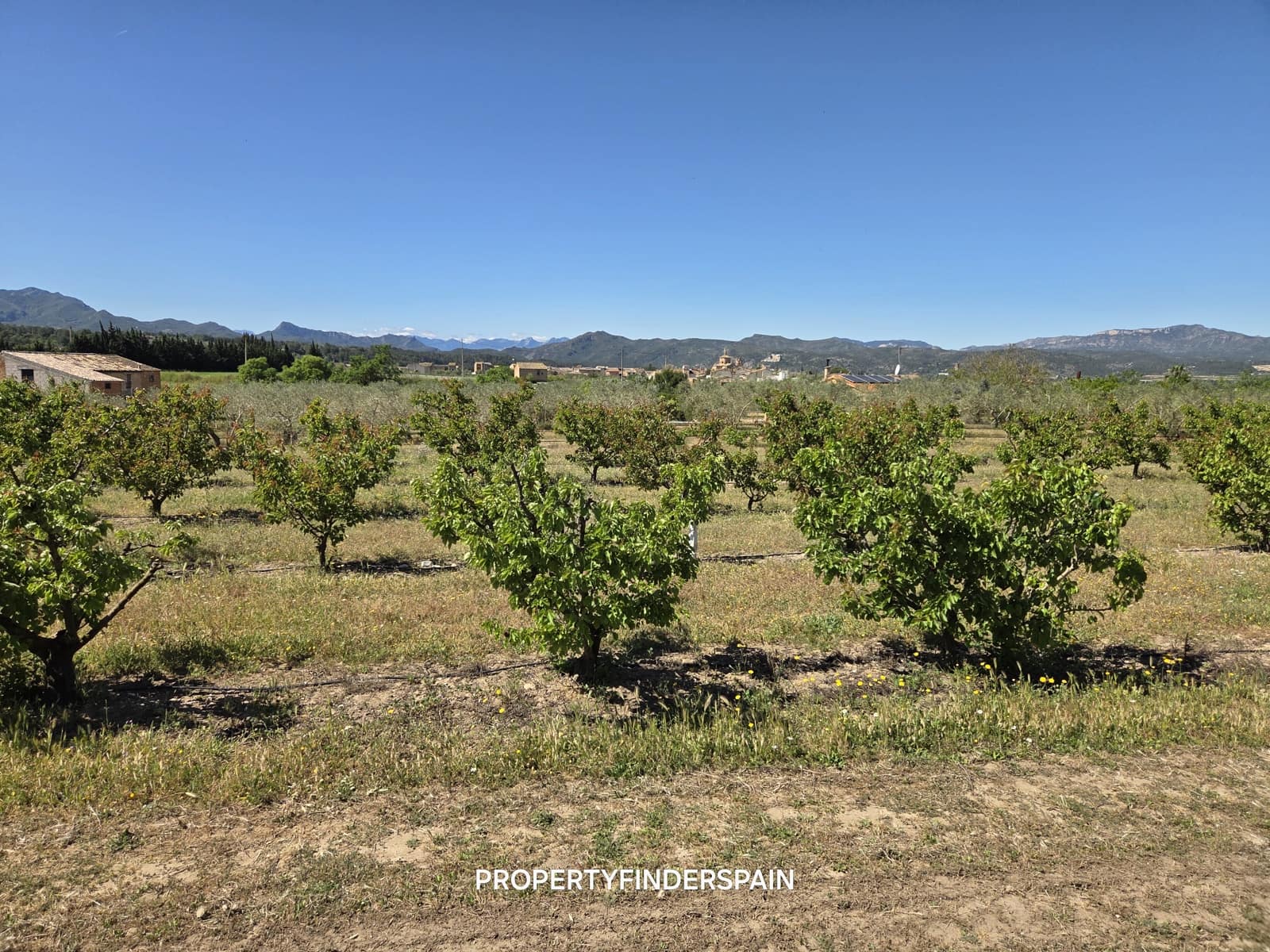 Finca/Herregård til salgs i Ginestar - € 15 000 (Ref: 9938595)