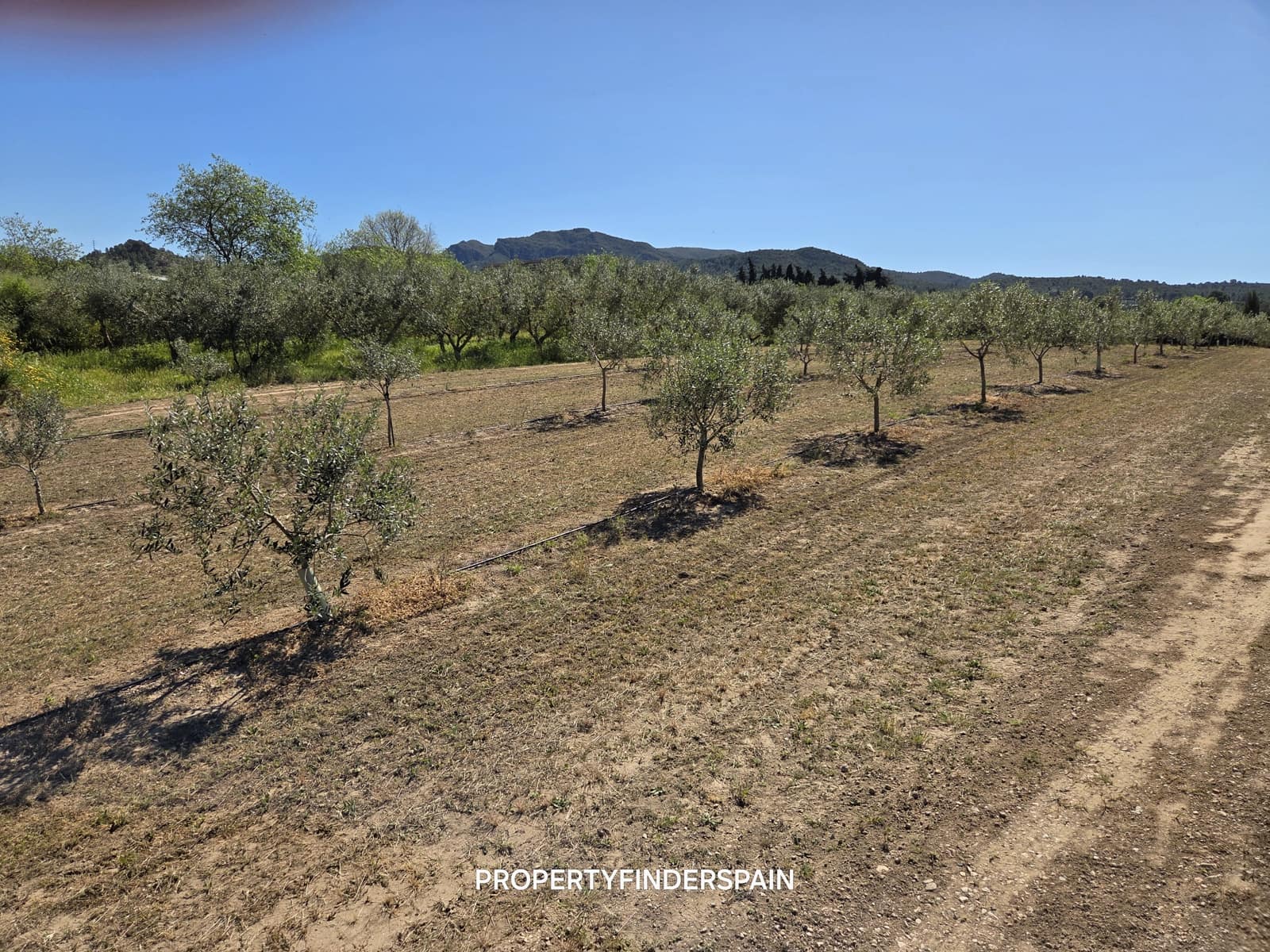 Finca/Herregård til salgs i Ginestar - € 15 000 (Ref: 9938595)