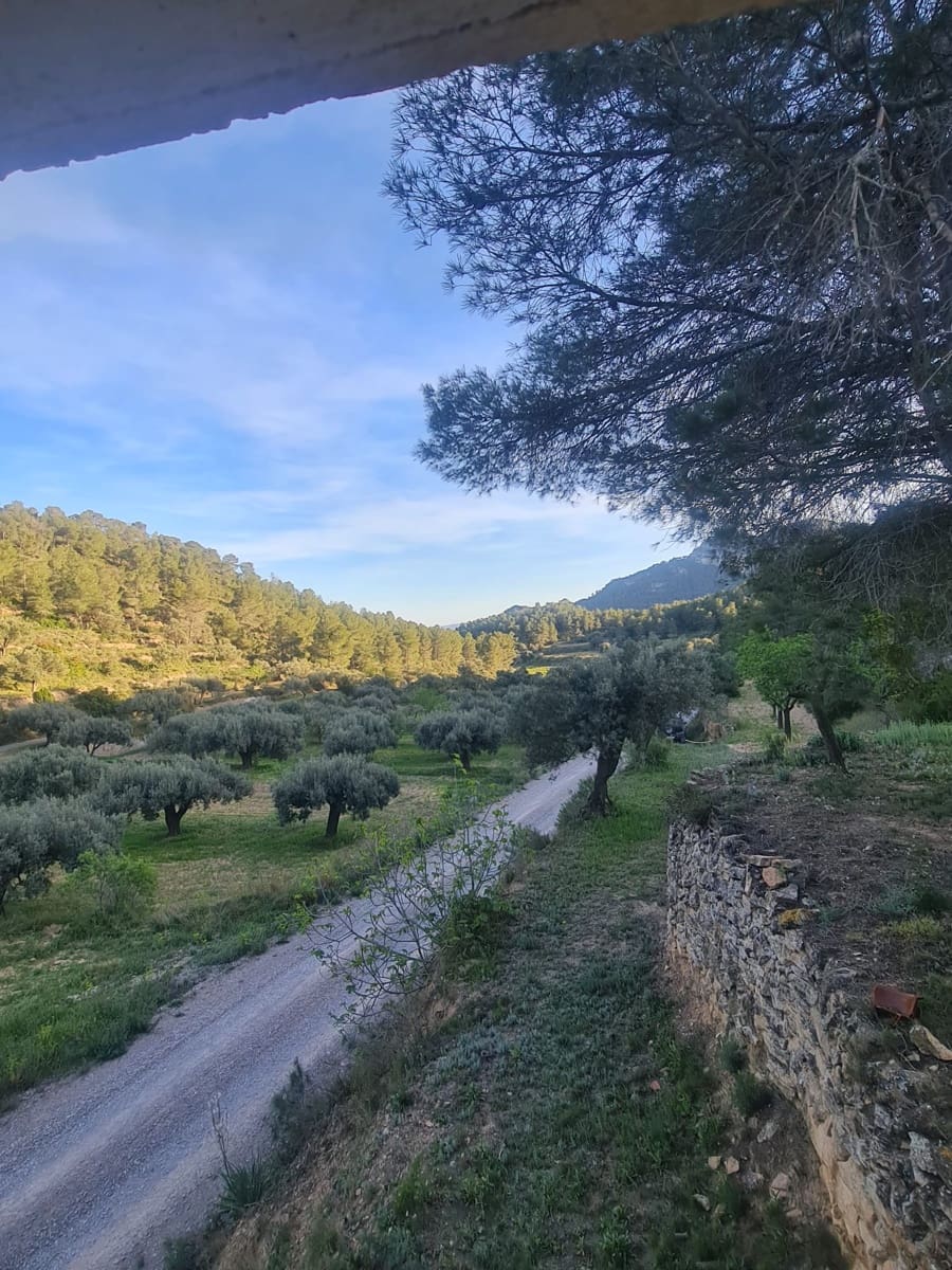 Maalaistalo myytävänä paikassa Mora d'Ebre - 21 000 € (Ref: 9989774)