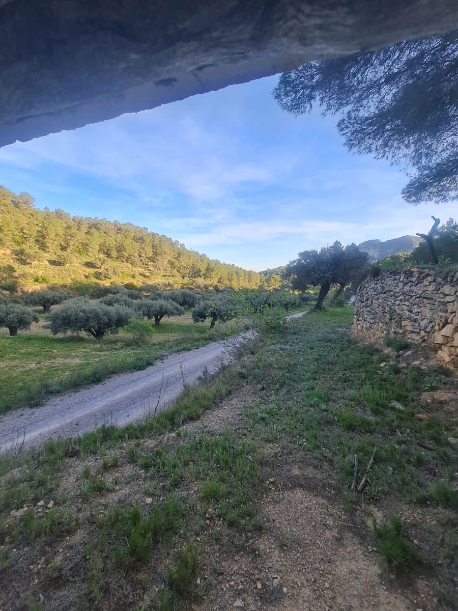 Maalaistalo myytävänä paikassa Mora d'Ebre - 21 000 € (Ref: 9989774)