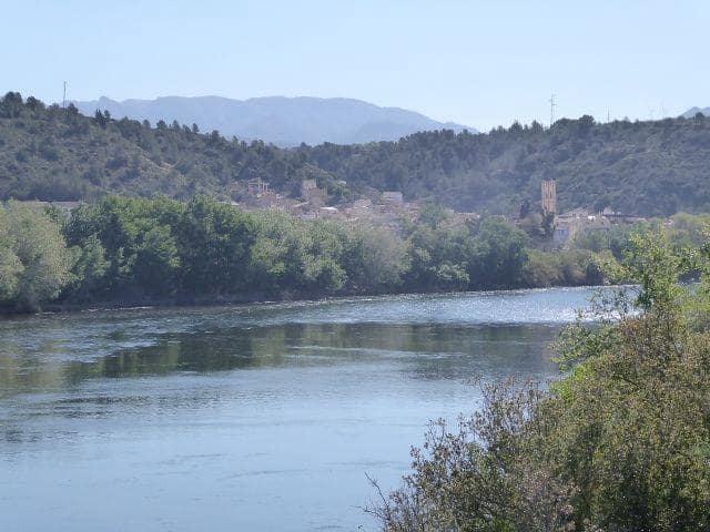 1 sypialnia Finka/Dom wiejski na sprzedaż w Riba-roja d'Ebre - 49 000 € (Ref: 9994687)