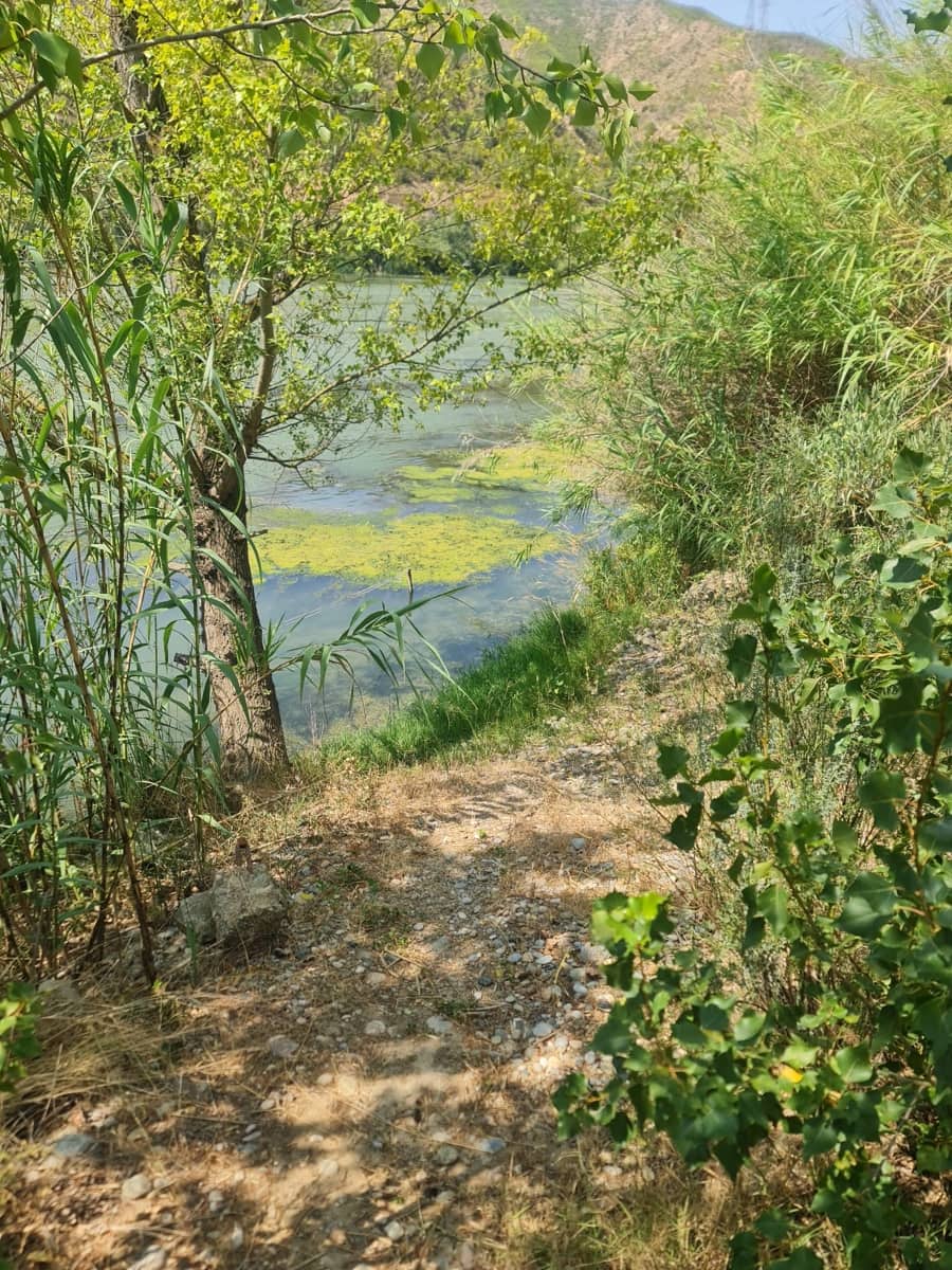 1 sypialnia Finka/Dom wiejski na sprzedaż w Riba-roja d'Ebre - 49 000 € (Ref: 9994687)