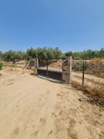1 sypialnia Finka/Dom wiejski na sprzedaż w Riba-roja d'Ebre - 49 000 € (Ref: 9994687)
