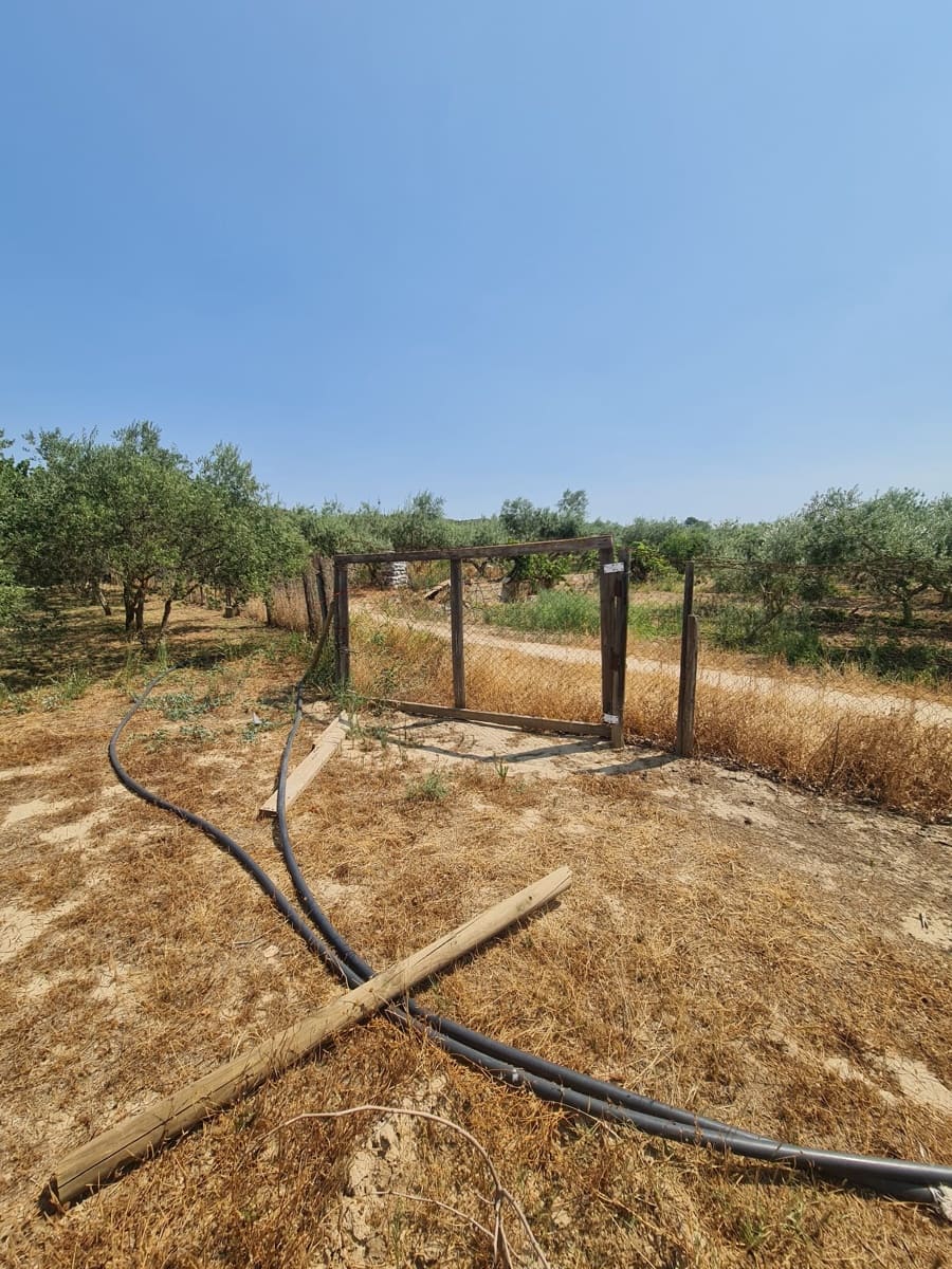 1 sypialnia Finka/Dom wiejski na sprzedaż w Riba-roja d'Ebre - 49 000 € (Ref: 9994687)
