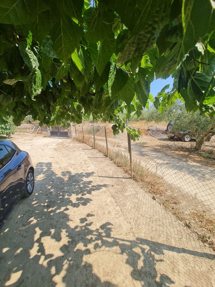 1 sypialnia Finka/Dom wiejski na sprzedaż w Riba-roja d'Ebre - 49 000 € (Ref: 9994687)