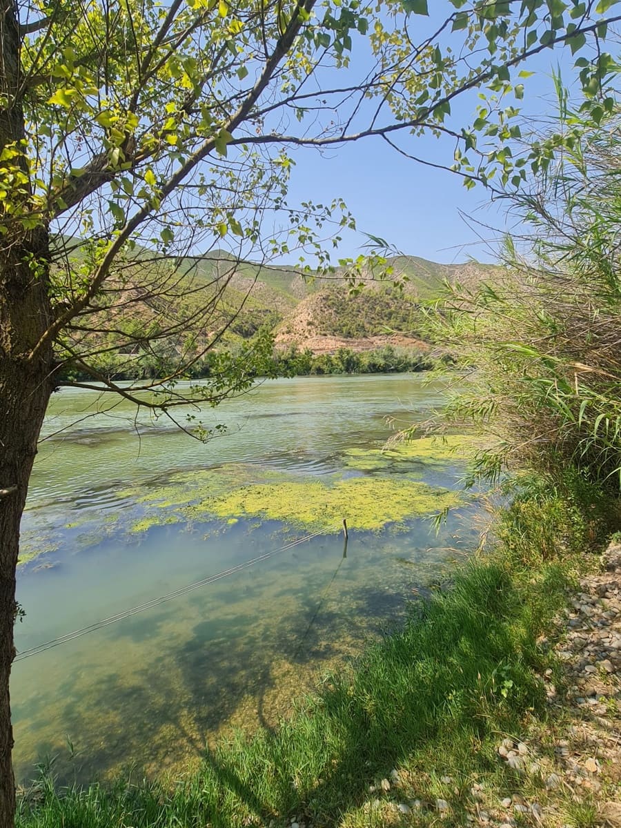 1 sypialnia Finka/Dom wiejski na sprzedaż w Riba-roja d'Ebre - 49 000 € (Ref: 9994687)