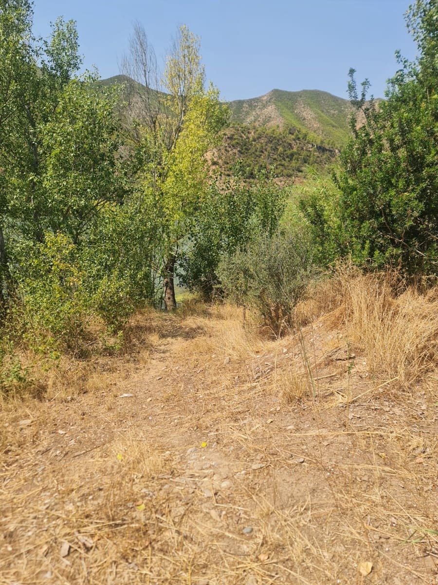 1 sypialnia Finka/Dom wiejski na sprzedaż w Riba-roja d'Ebre - 49 000 € (Ref: 9994687)