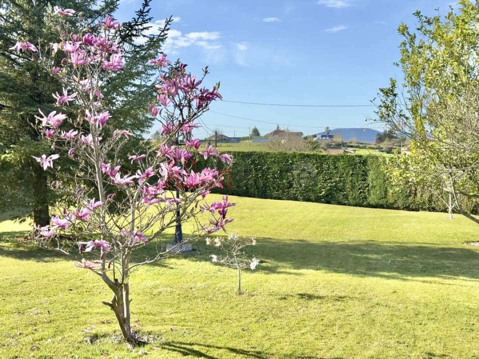 7 soveværelse Villa til salg i Oviedo - € 795.000 (Ref: 8331932)