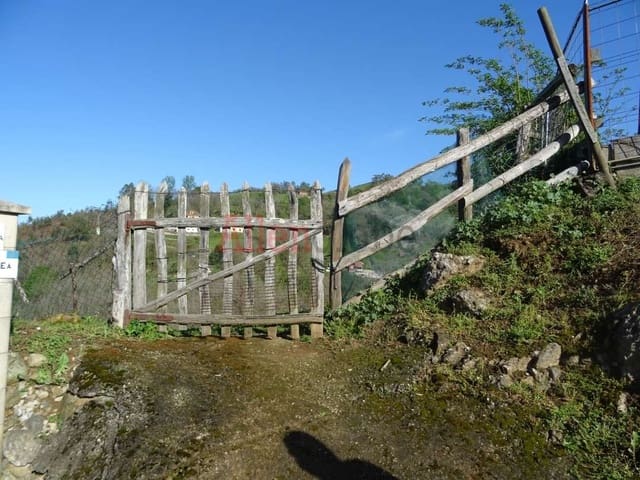 Undeveloped Land for sale in Oviedo - € 23,000 (Ref: 8331939)