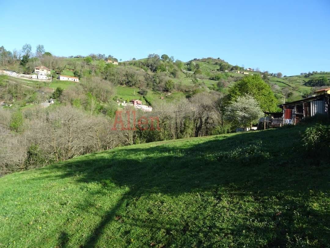 Rakentamaton maa myytävänä paikassa Oviedo - 23 000 € (Ref: 8331939)