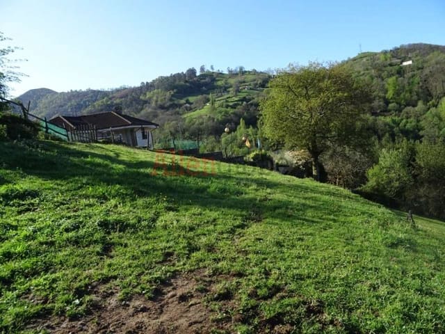 Undeveloped Land for sale in Oviedo - € 23,000 (Ref: 8331939)