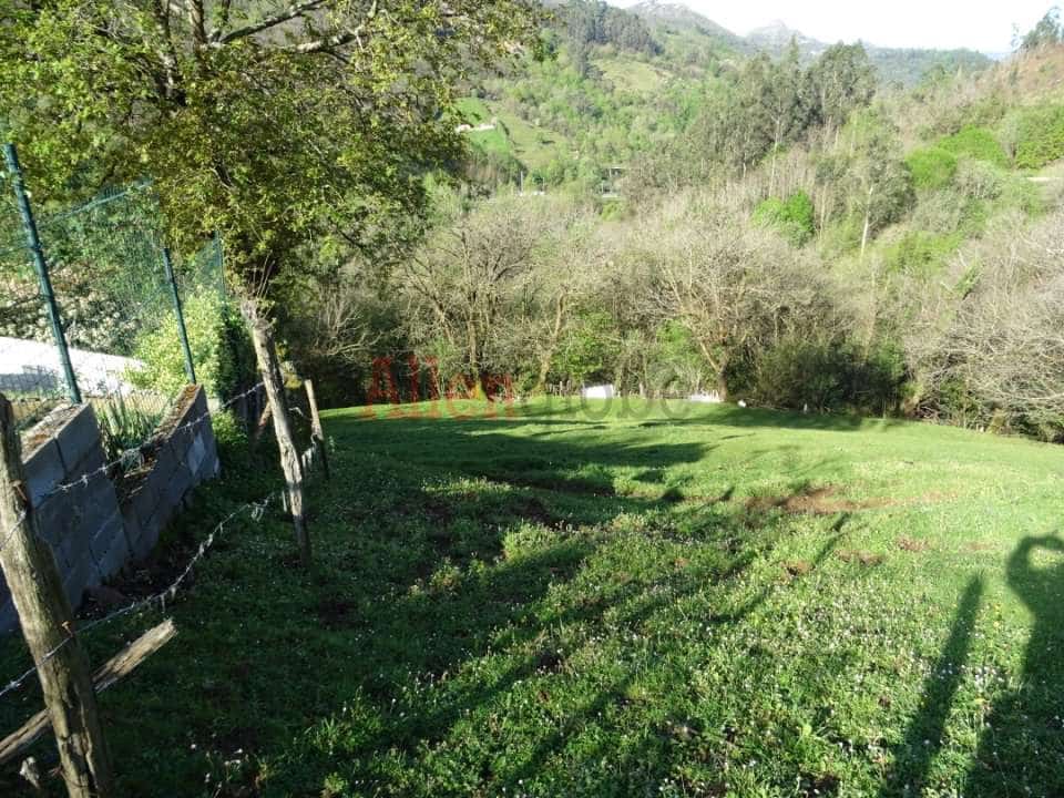 Rakentamaton maa myytävänä paikassa Oviedo - 23 000 € (Ref: 8331939)