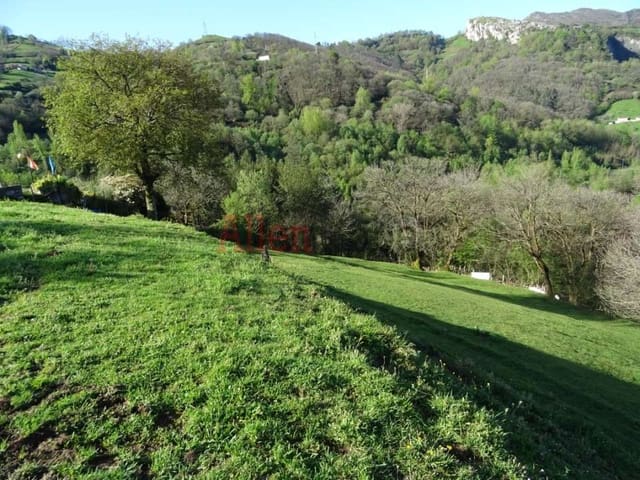 Undeveloped Land for sale in Oviedo - € 23,000 (Ref: 8331939)