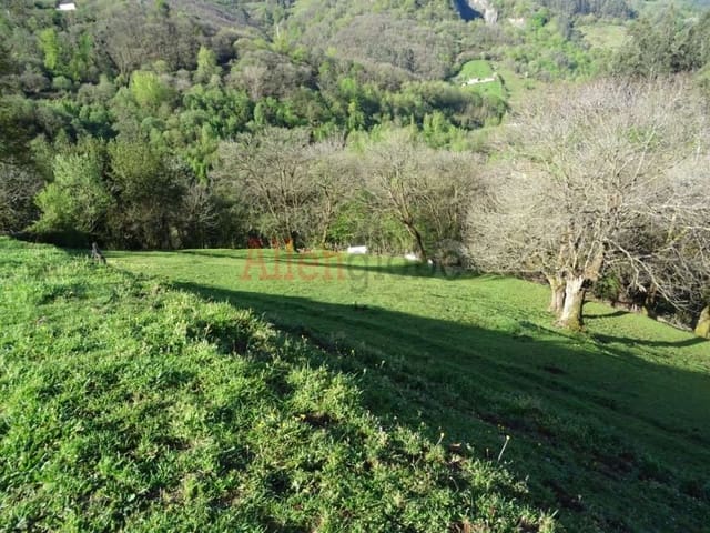 Undeveloped Land for sale in Oviedo - € 23,000 (Ref: 8331939)