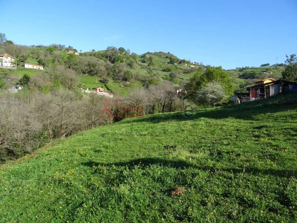 Rakentamaton maa myytävänä paikassa Oviedo - 23 000 € (Ref: 8331939)