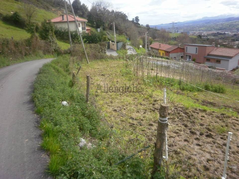 Terre non Aménagée à vendre à Oviedo - 120 000 € (Ref: 8331962)