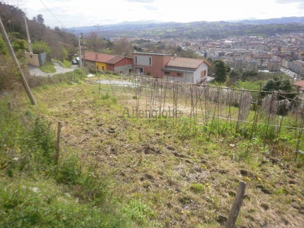 Terre non Aménagée à vendre à Oviedo - 120 000 € (Ref: 8331962)