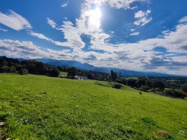 Ubebygd land til salgs i Oviedo - € 175 000 (Ref: 8347442)