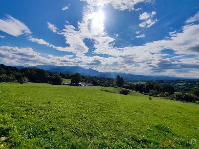 Ubebygd land til salgs i Oviedo - € 175 000 (Ref: 8347442)