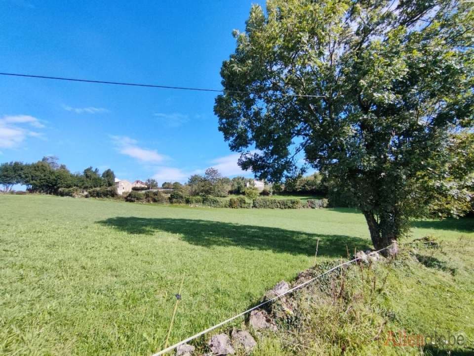 Grunde uden byggetilladelser til salg i Oviedo - € 175.000 (Ref: 8347442)