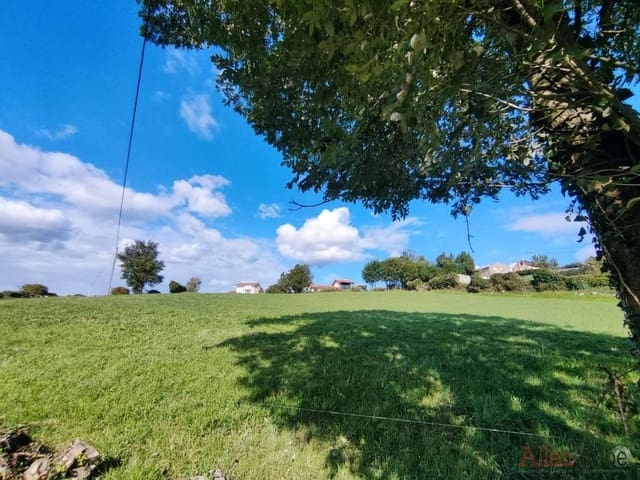 Ubebygd land til salgs i Oviedo - € 175 000 (Ref: 8347442)