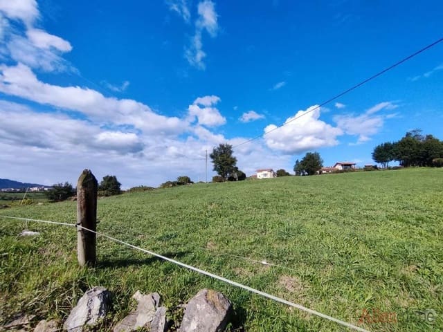 Ubebygd land til salgs i Oviedo - € 175 000 (Ref: 8347442)