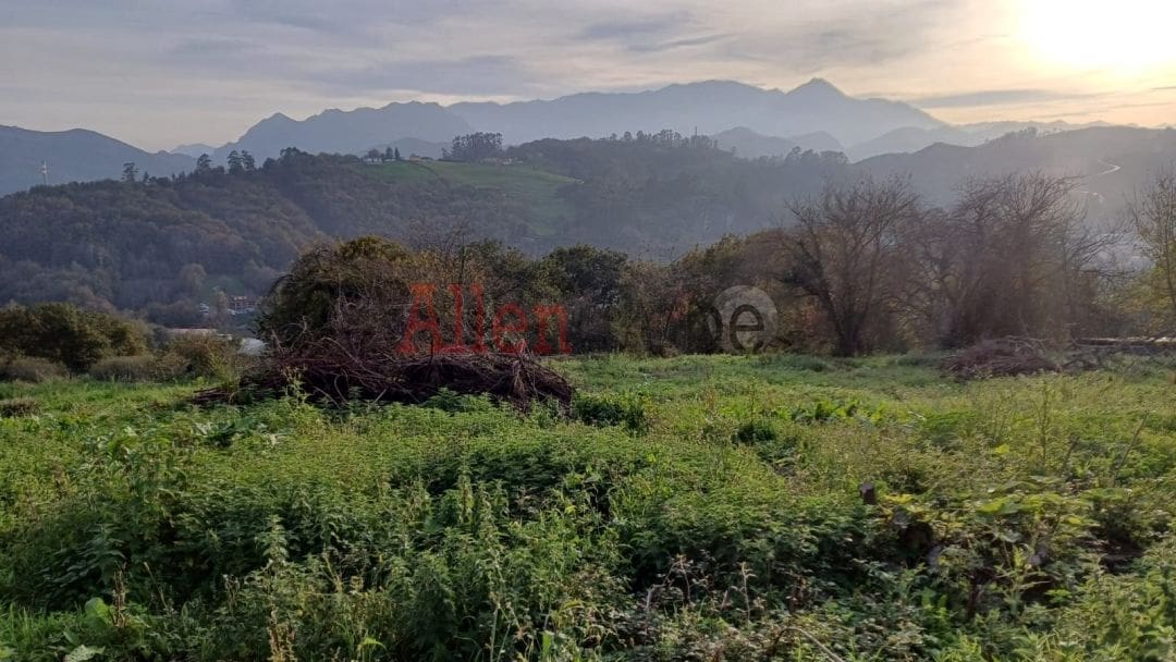 Mark till salu i Oviedo - 115 000 € (Ref: 8651503)